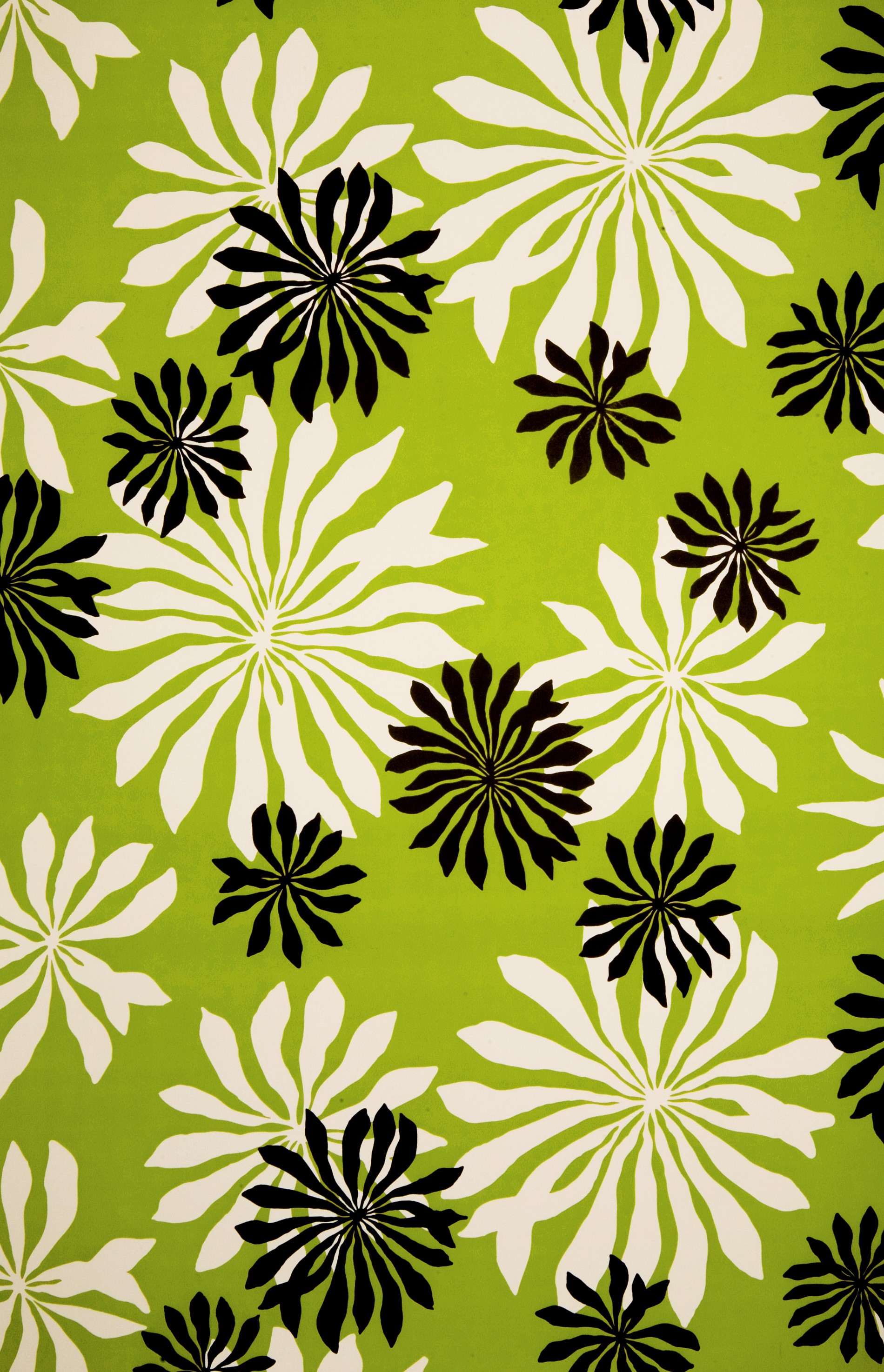 Lime Green Backgrounds (55+ pictures)