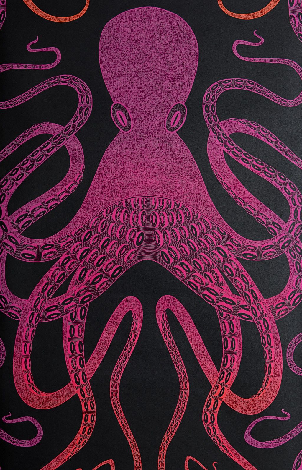 OMBRE OCTOPUS: Pink/Orange