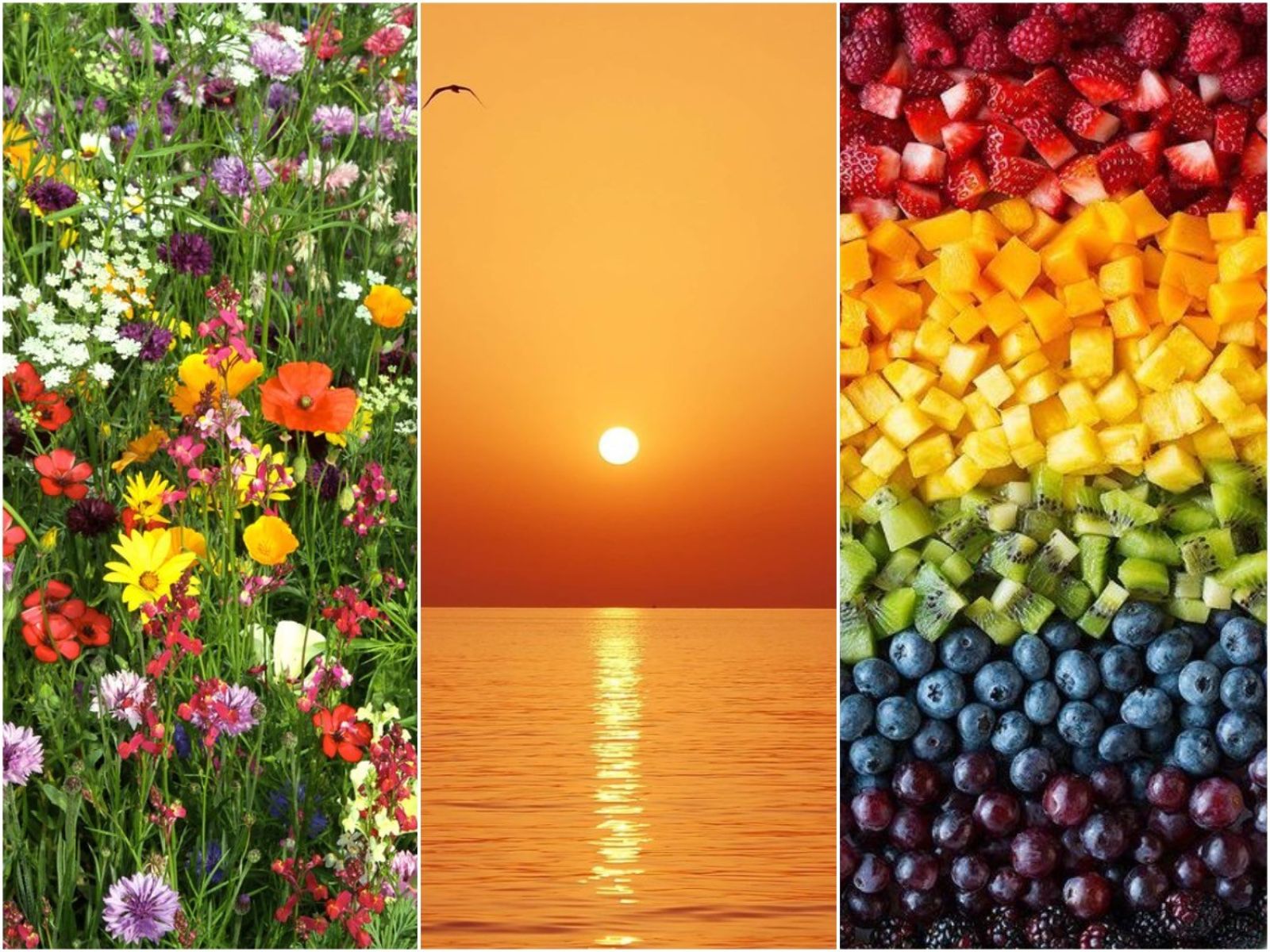 5-summer-colours-for-your-home